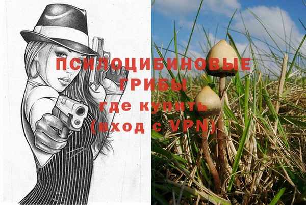 трава Алексин